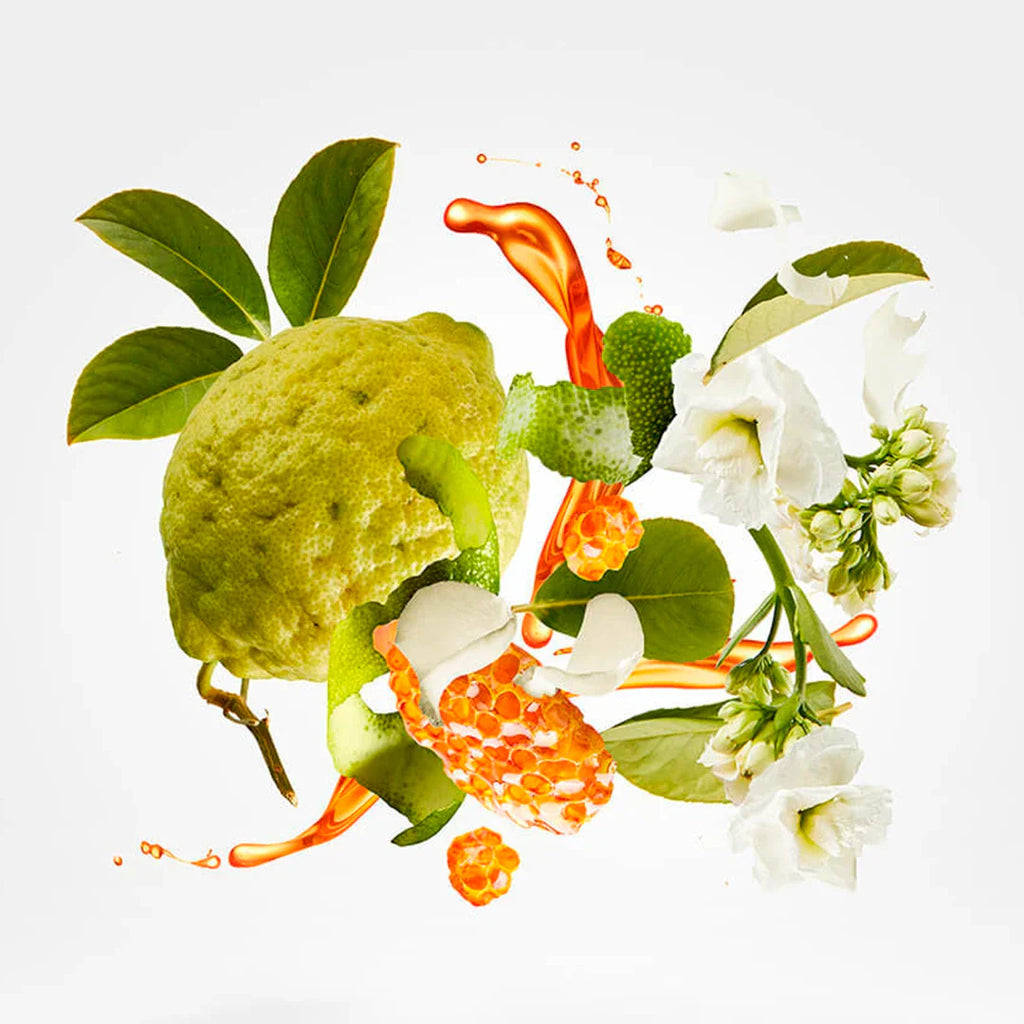 TXERJOFF 1861 Naxos Eau de Parfum