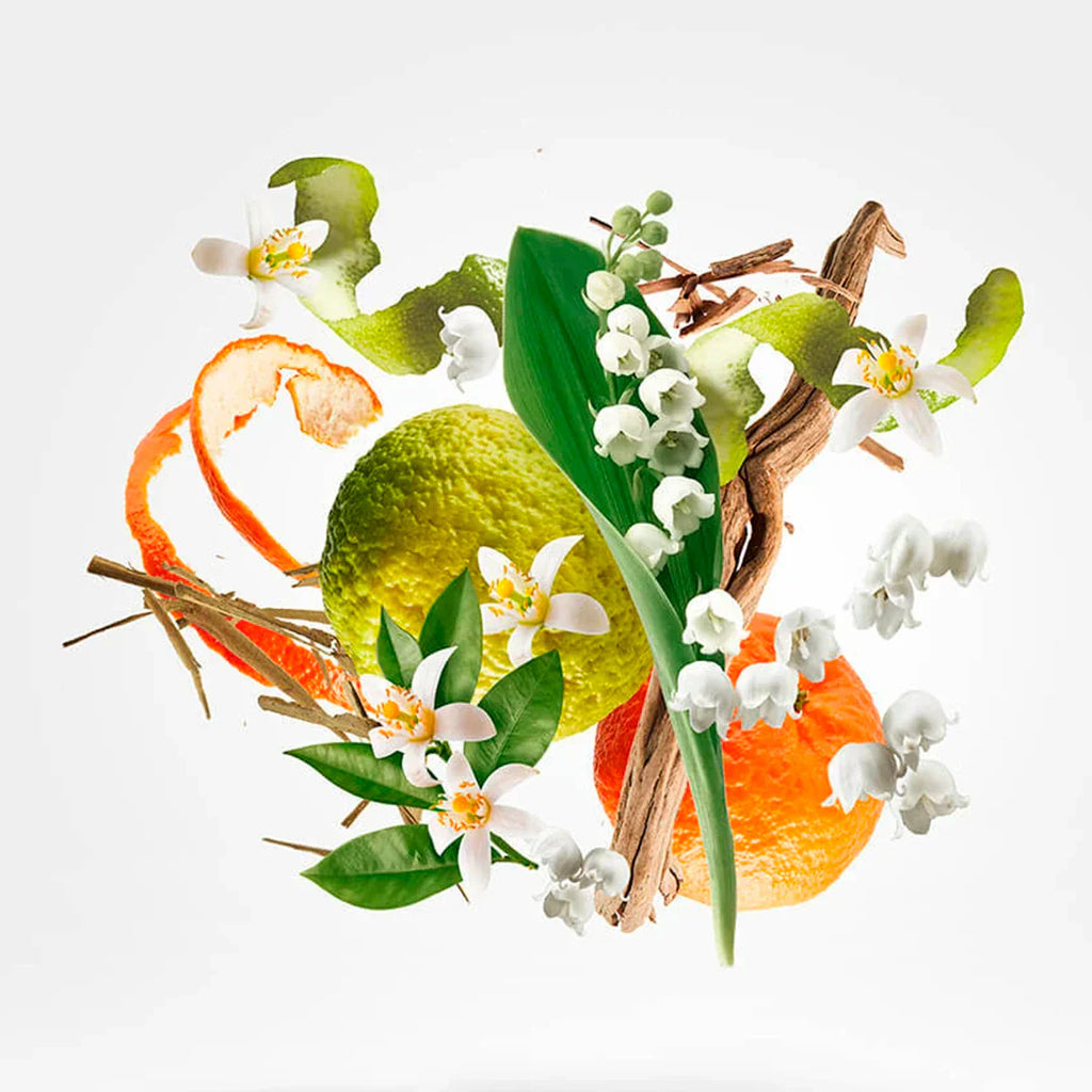 XERJOFF 1861 Renaissance Eau de Parfum