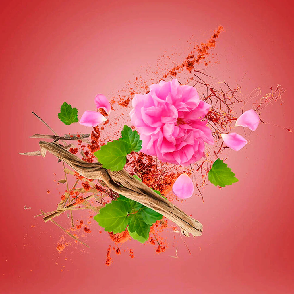 XERJOFF Wardasina Eau de Parfum