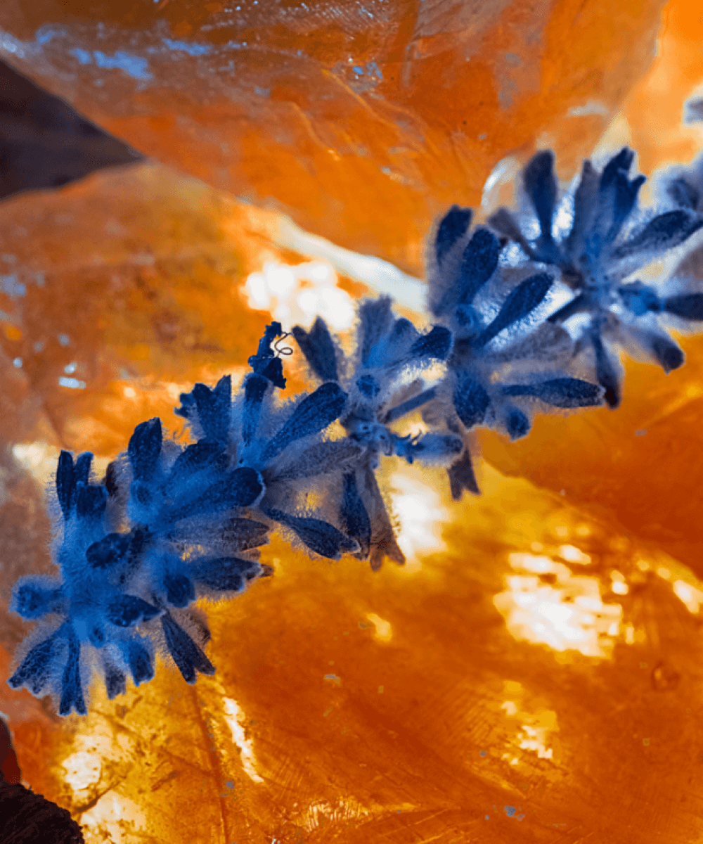 Ambre Millénaire – Extrait de Parfum 100ml